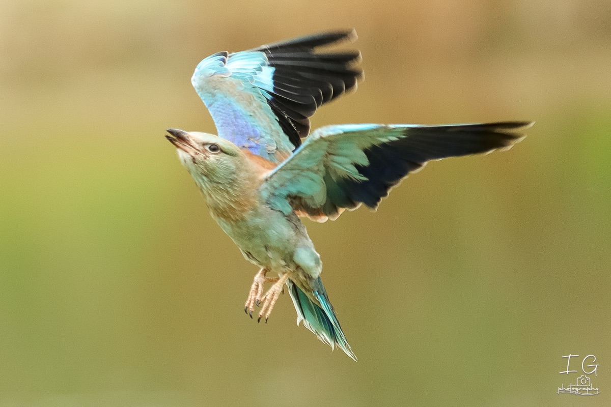 20211023 AK6I0058 insta